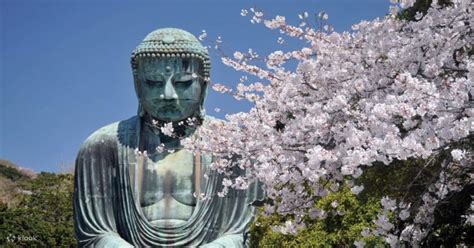 Kamakura Half Day Private Walking Tour - Klook India