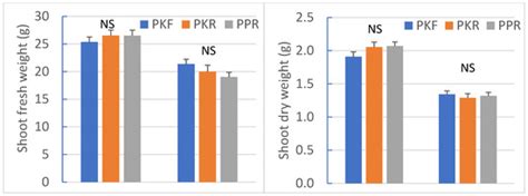 Temperature and Light Spectrum Differently Affect Growth, Morphology ...