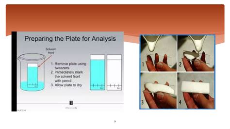 Image result for Thin Layer Chromatography Tutorial