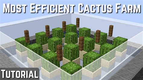 Image result for Cactus Farm Minecraft Java
