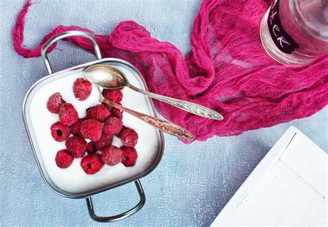 Frozen Yogurt Ingredients: How To Make Frozen Yogurt At Home - The Home ...