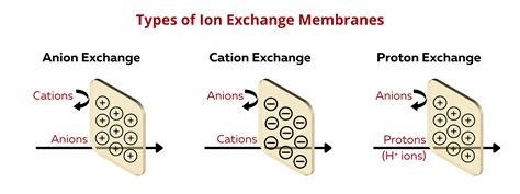 Ionexchange.in Ion Exchange Chromatography: Principle, Parts, Steps,