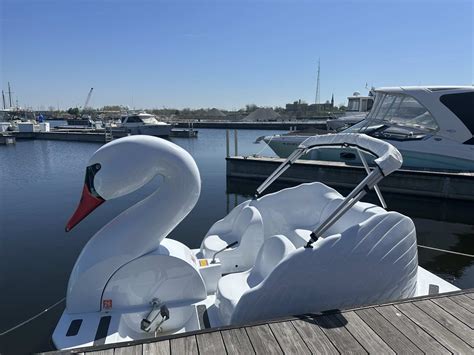 Swan Boat | Paddle Boat | Harbor Shores | St. Joseph