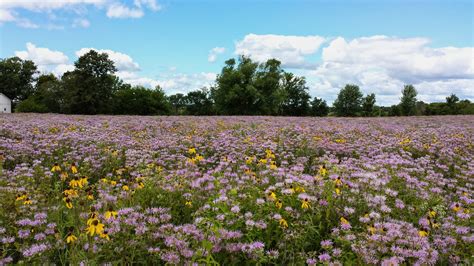Geneva Park District Geneva, IL