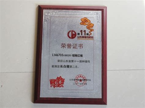 我校两位教师荣获2019年度“滁州市青年岗位能手”荣誉称号-滁州职业技术学院
