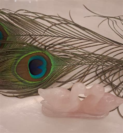 Rose Quartz Swan Pair (Love Symbol) – Vaastunidhie