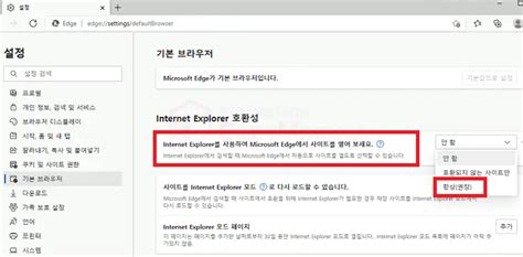 Image result for Can You Use Two Internet Explorer