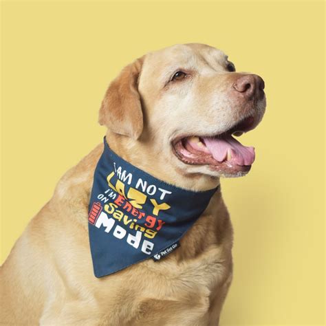 I am not Lazy Dog Bandana – Pet Set Go