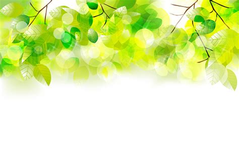 Image result for Germany Java Drawings