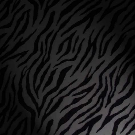 Image result for Zebra Background