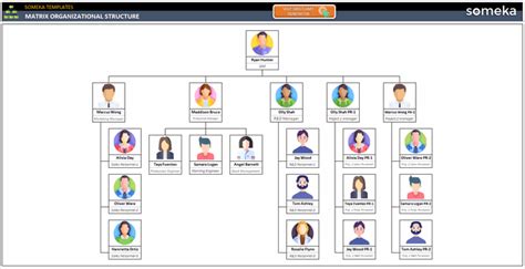 Image result for Matrix Organizational Structure Example