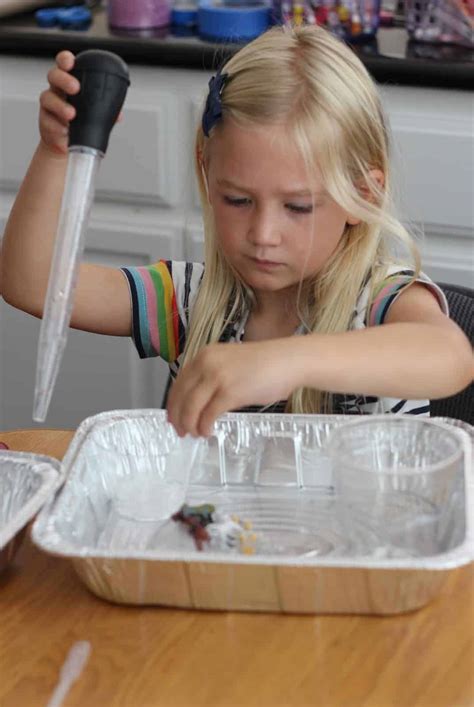 Animal Science Experiments 的图像结果