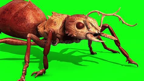 Image result for C4d Insect Walk Cycle Tutorial
