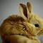 Image result for Cute Bunny with a Crown On
