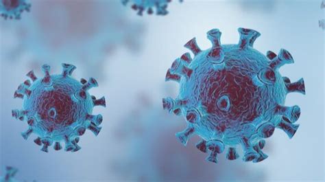高福院士等人《科学》发文：新致病性H5N8禽流感病毒是严重的公共卫生问题_凤凰网