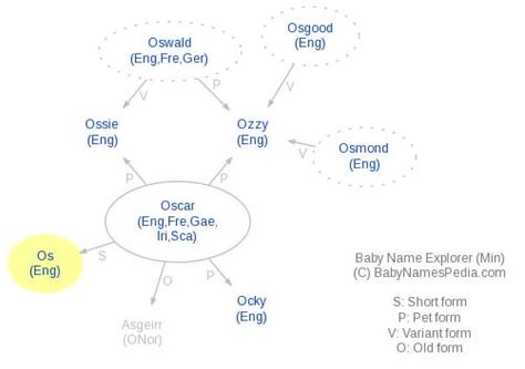 Image result for OS Meaning