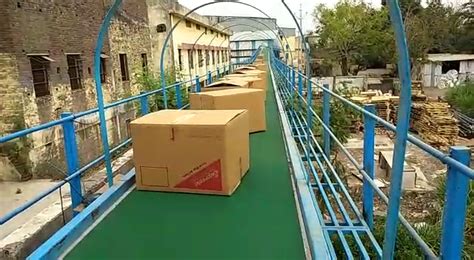 Box Transfer Conveyors - Conveyors India