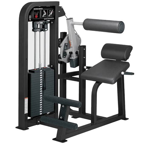 Image result for Back Strength Machine
