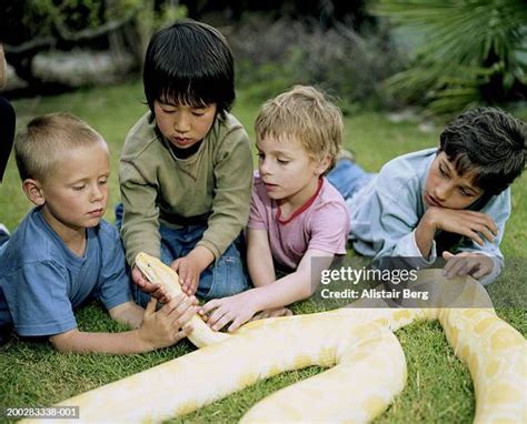 Image result for Python Boys