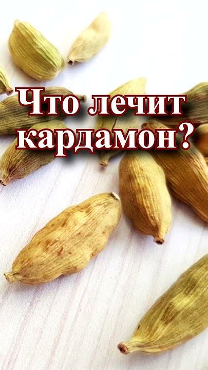 Какие болезни лечит кардамон? - YouTube