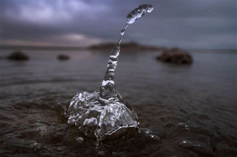 Independent Politician 的图像结果