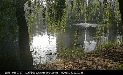 Image result for Code Testing Fails