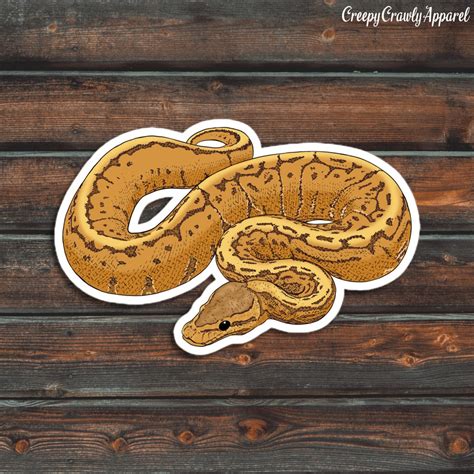 Image result for Pied Ball Python Sticker