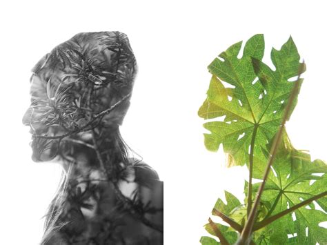 good photography editing apps