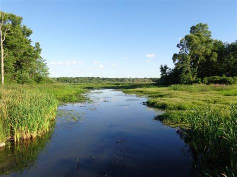 THE 10 BEST Restaurants in Grass Lake - Updated October 2023 - Tripadvisor