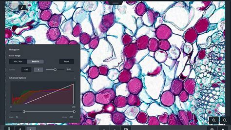 Lab Scope 的图像结果