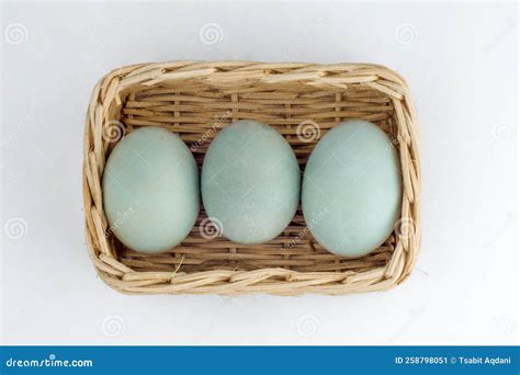 Eggs In A Basket Figure Of Speech at Lara Tolmie blog