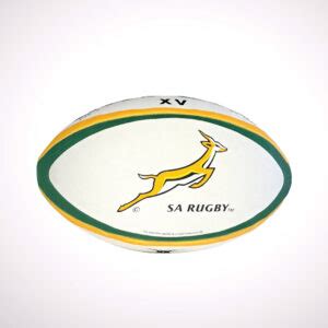 Image result for Springbok Rugby Ball
