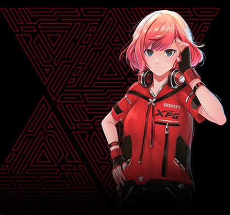 关于XPG