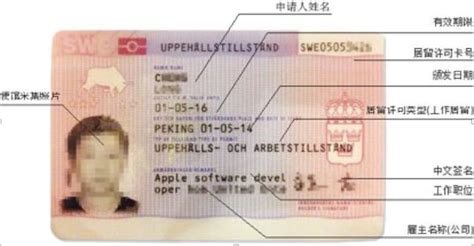 豆豆博士-留学瑞典准备篇1 签证及租房 - 哔哩哔哩