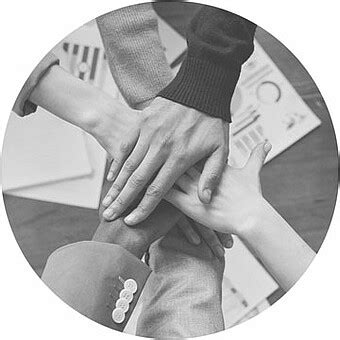 Sam Training 的图像结果