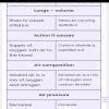 complete the diagram below to identify each parts of the lung model in ...