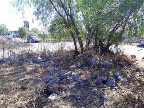 Image result for Export Import in SQL Developer