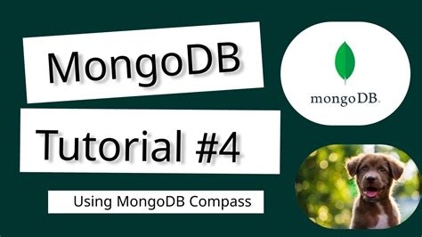 Image result for MongoDB Compass Tutorial Advanced
