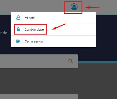 Tutorial Clave AFIP 的图像结果