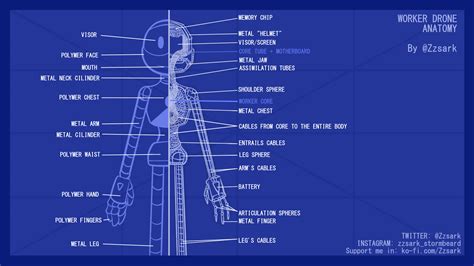 Worker Drone Anatomy by me // I always wondered how they could be on the inside. I think that ...