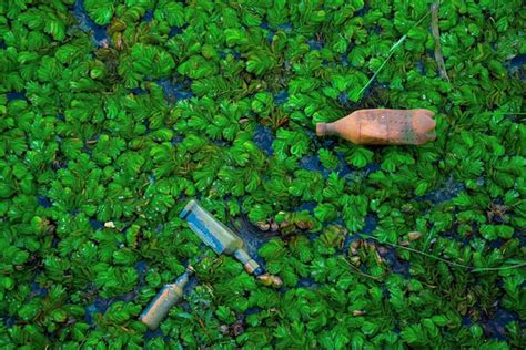 Nature and Human 的图像结果