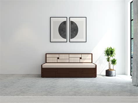 Amazon.in: Bluebite: Rio Pull -Out Sofa Cum Bed