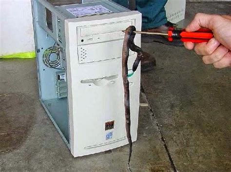 Image result for Funny Using Computer