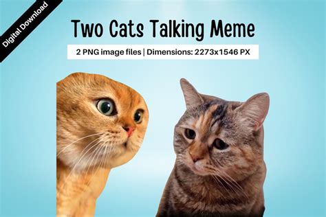 Image result for Java Class Modifier Table