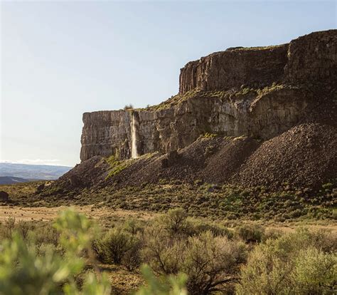 Washington 的图像结果