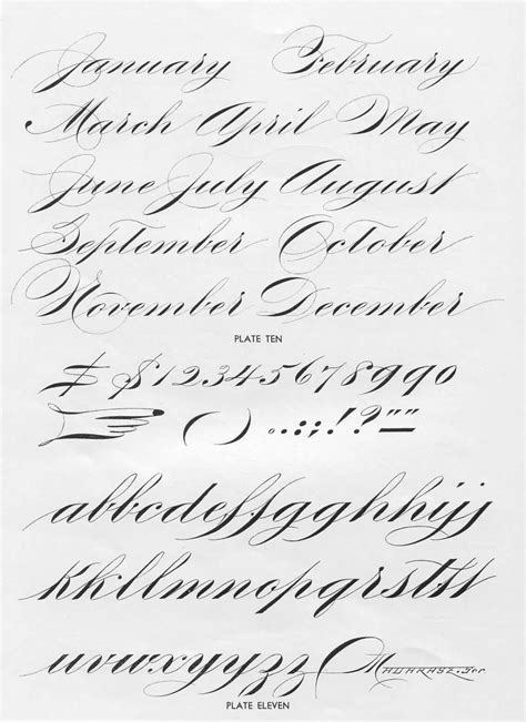 Image result for Cursive Script