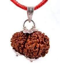 Buy 13 Mukhi Rudraksha Silver Plated Pendant Thirteen Face Nepal ...