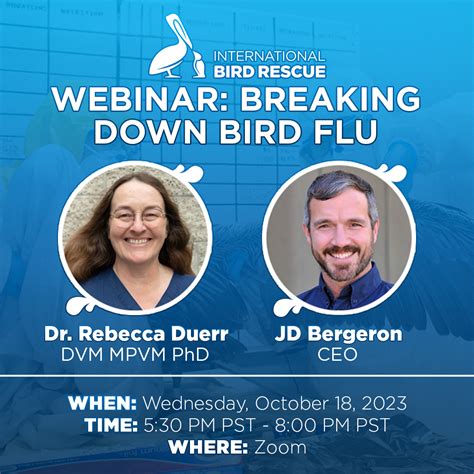 Webinar: Breaking Down Bird Flu: October 18th - International Bird Rescue