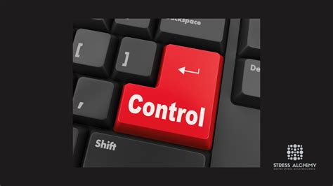 Control Mindset 的图像结果