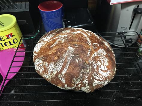 My first loaf using Flour Water Salt Yeast : r/Breadit